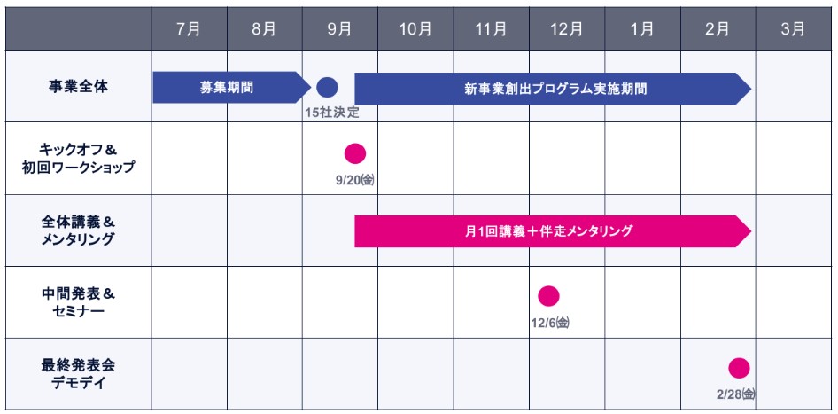 全体スケジュール：挑む中小企業プロジェクト2024